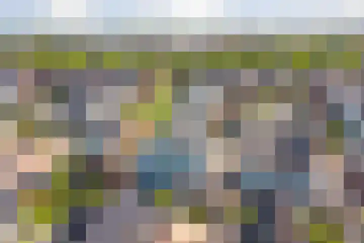 Honingbij 47 Waddinxveen thumbnail 46