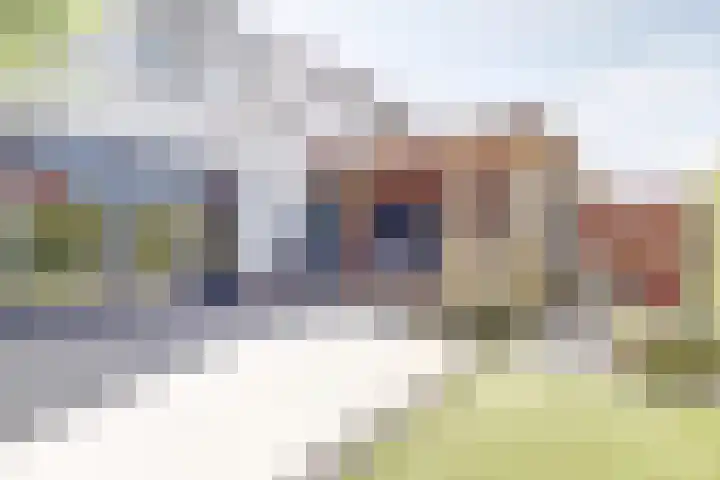Honingbij 47 Waddinxveen thumbnail 5
