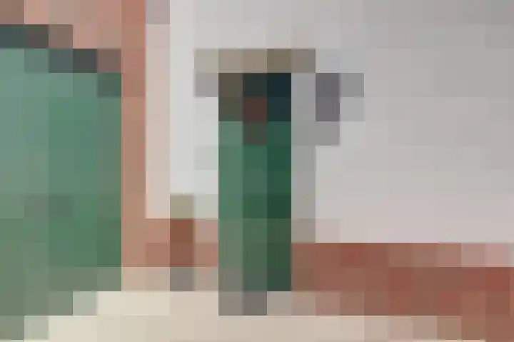 Honingbij 47 Waddinxveen thumbnail 7