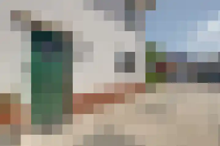 Honingbij 47 Waddinxveen thumbnail 8