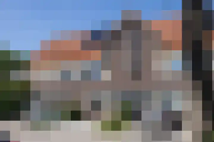 Honingbij 5 Hengelo