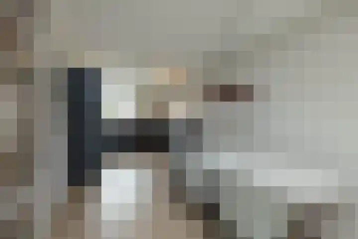 Honingbij 5 Hengelo thumbnail 10