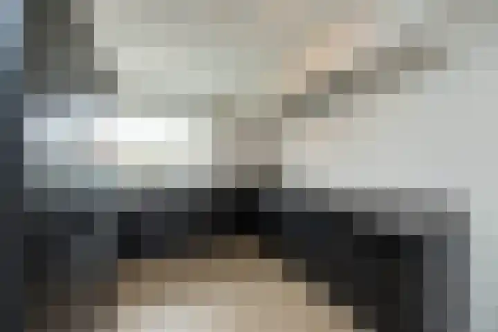 Honingbij 5 Hengelo thumbnail 11