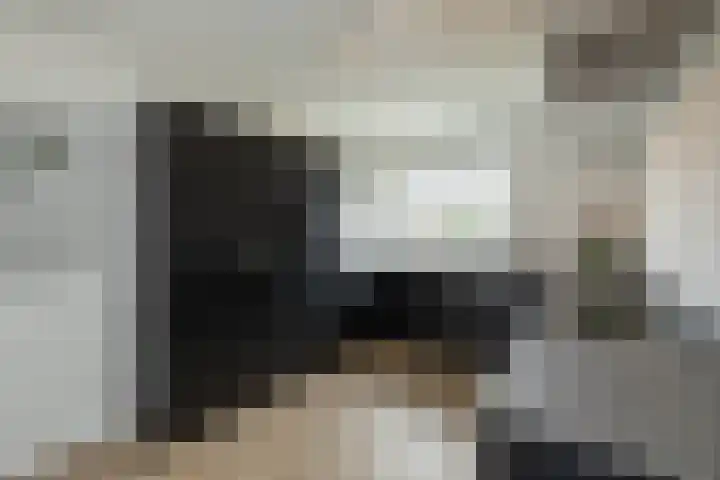 Honingbij 5 Hengelo thumbnail 12