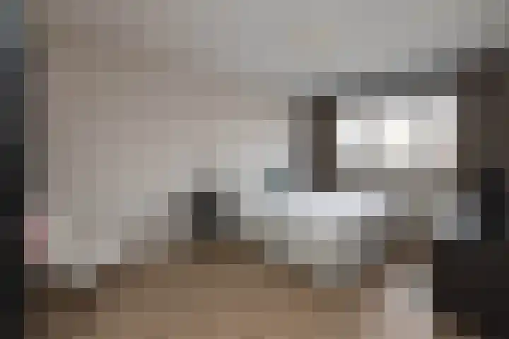 Honingbij 5 Hengelo thumbnail 17