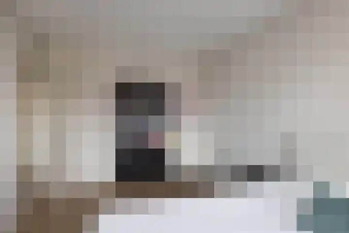 Honingbij 5 Hengelo thumbnail 18