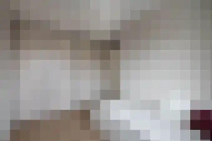 Honingbij 5 Hengelo thumbnail 20