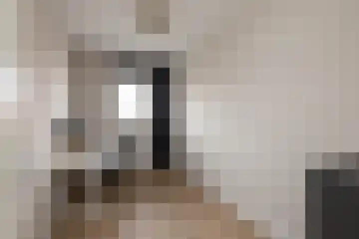 Honingbij 5 Hengelo thumbnail 21