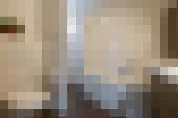 Honingbij 5 Hengelo thumbnail 23