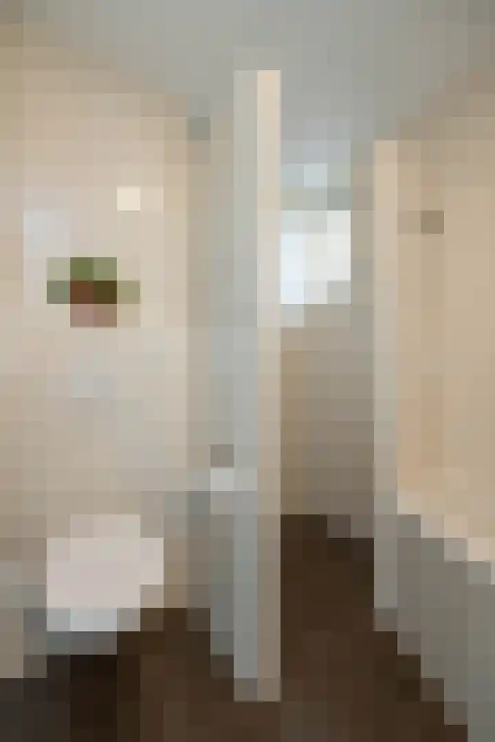 Honingbij 5 Hengelo thumbnail 24