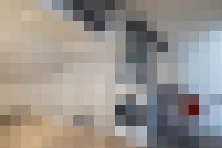 Honingbij 5 Hengelo thumbnail 26