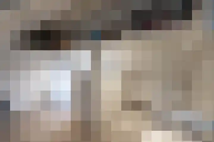 Honingbij 5 Hengelo thumbnail 27