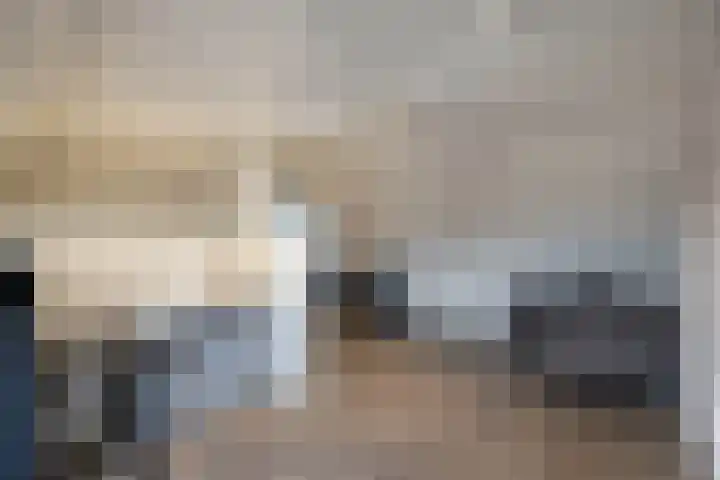 Honingbij 5 Hengelo thumbnail 28