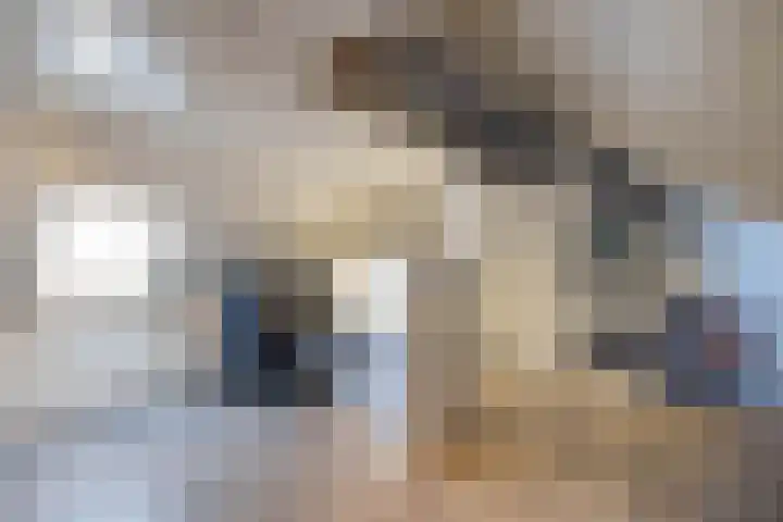 Honingbij 5 Hengelo thumbnail 29