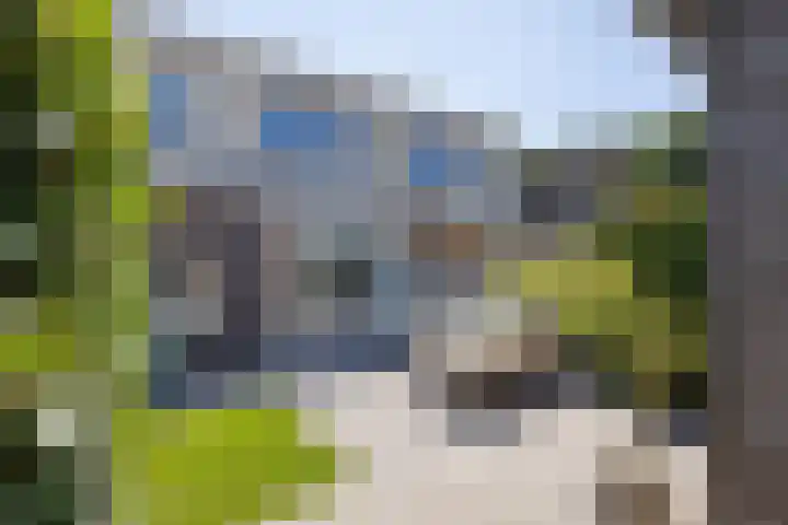 Honingbij 5 Hengelo thumbnail 30
