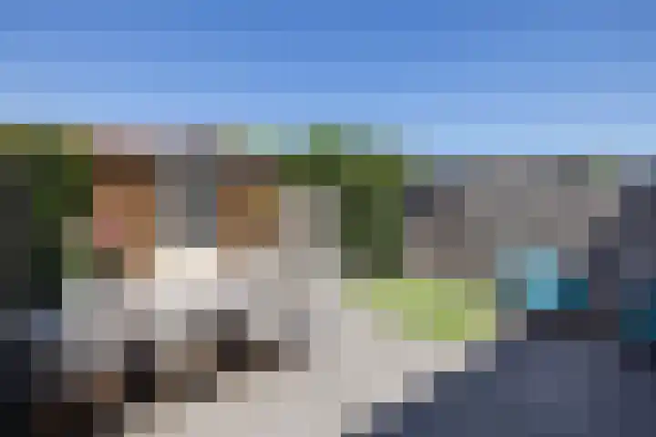 Honingbij 5 Hengelo thumbnail 31