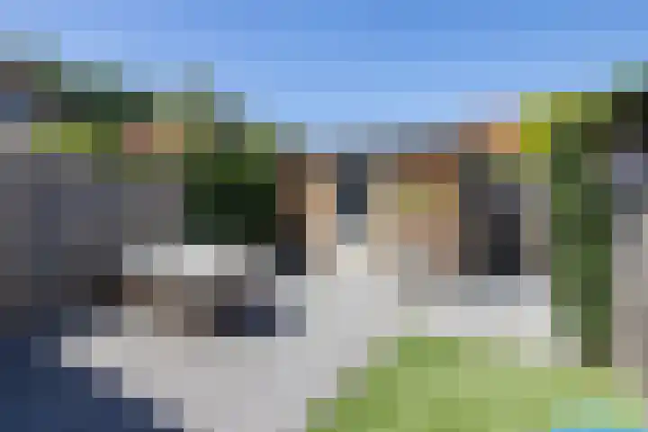 Honingbij 5 Hengelo thumbnail 32