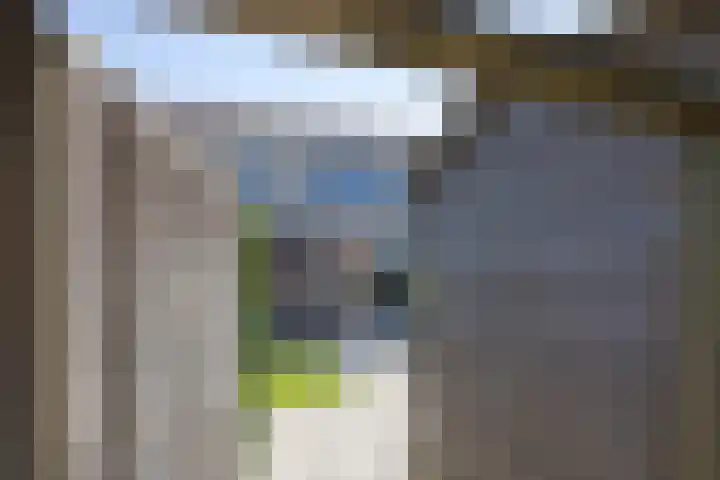 Honingbij 5 Hengelo thumbnail 33