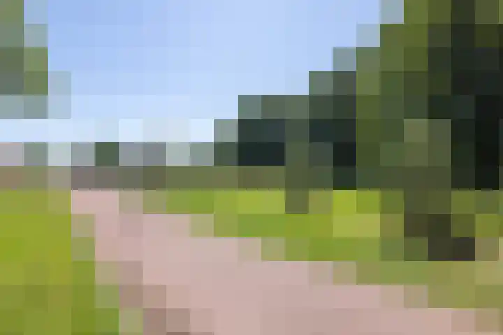 Honingbij 5 Hengelo thumbnail 36