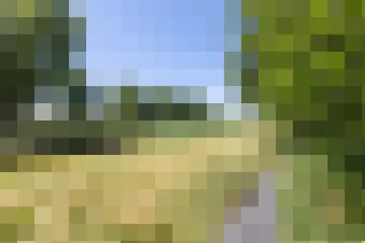 Honingbij 5 Hengelo thumbnail 37
