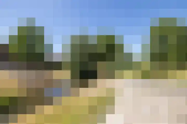 Honingbij 5 Hengelo thumbnail 38
