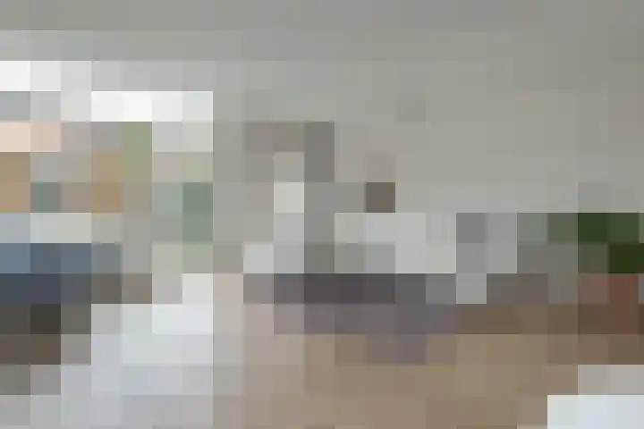 Honingbij 5 Hengelo thumbnail 4