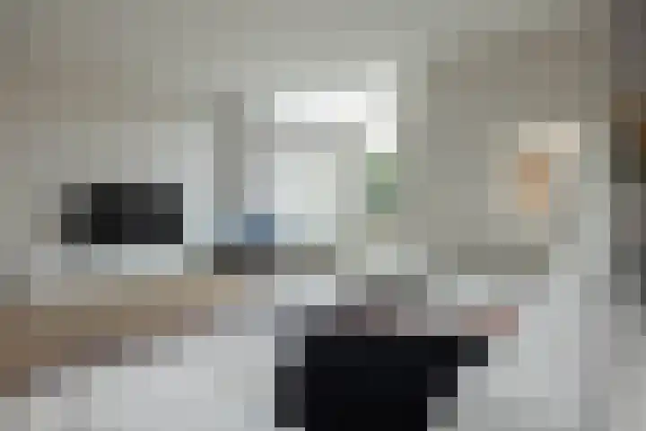Honingbij 5 Hengelo thumbnail 5