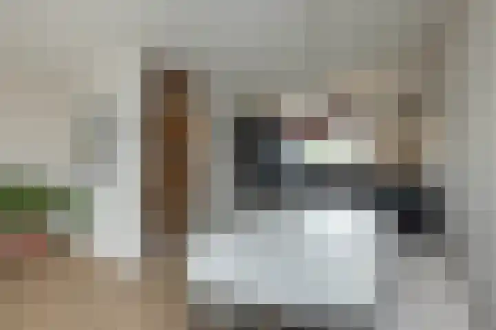 Honingbij 5 Hengelo thumbnail 8