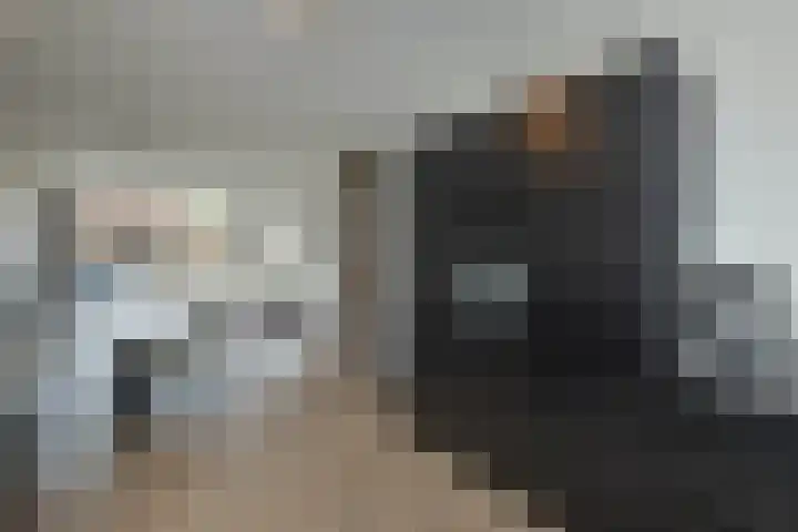 Honingbij 5 Hengelo thumbnail 9