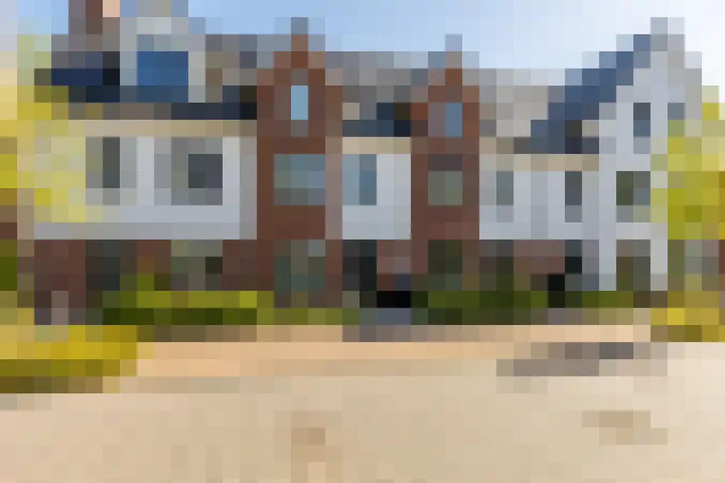 Honingbij 5 Waddinxveen