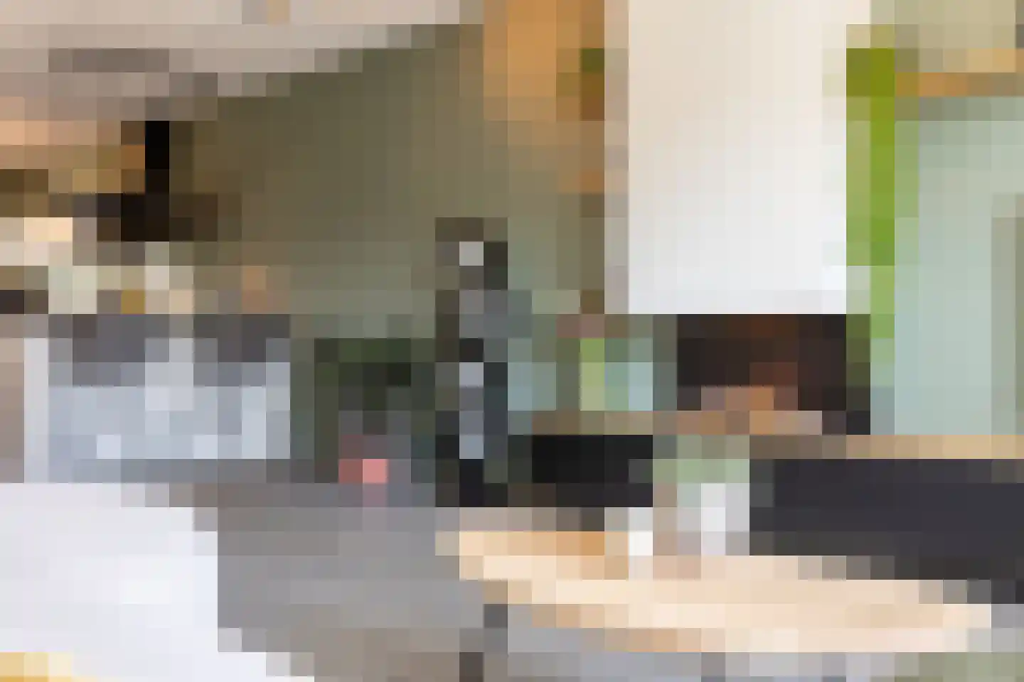 Honingbij 5 Waddinxveen thumbnail 10