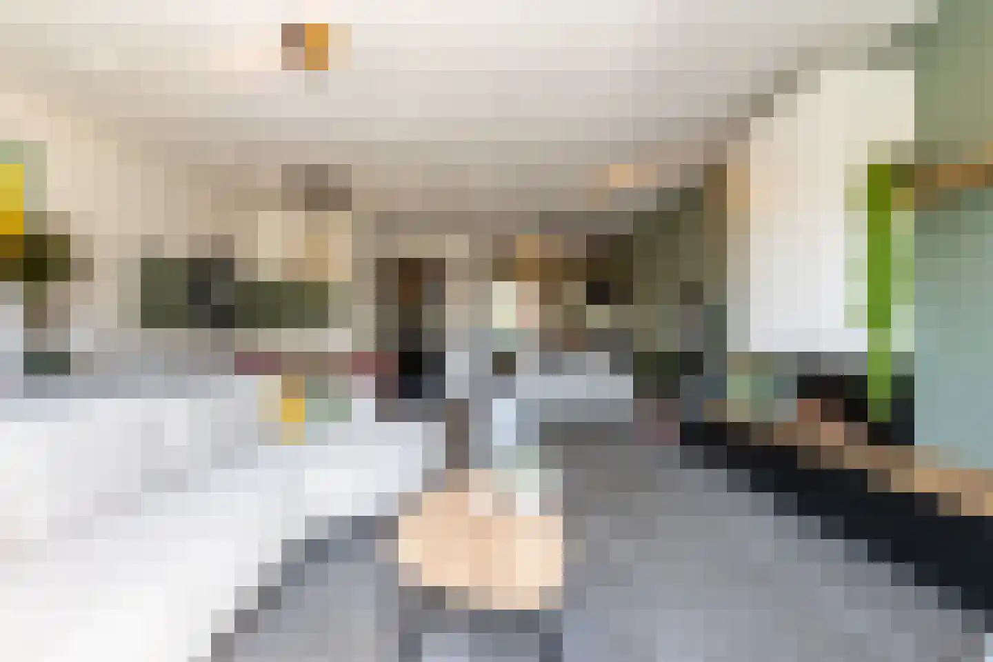 Honingbij 5 Waddinxveen thumbnail 11
