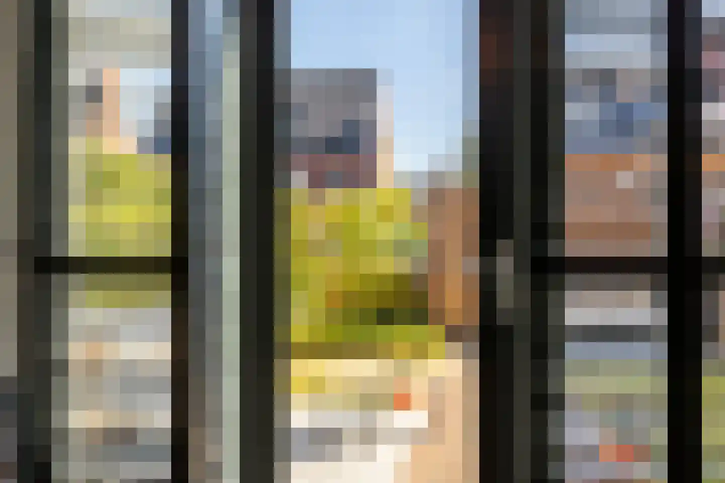 Honingbij 5 Waddinxveen thumbnail 13