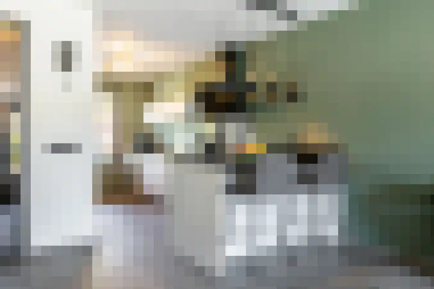 Honingbij 5 Waddinxveen thumbnail 15