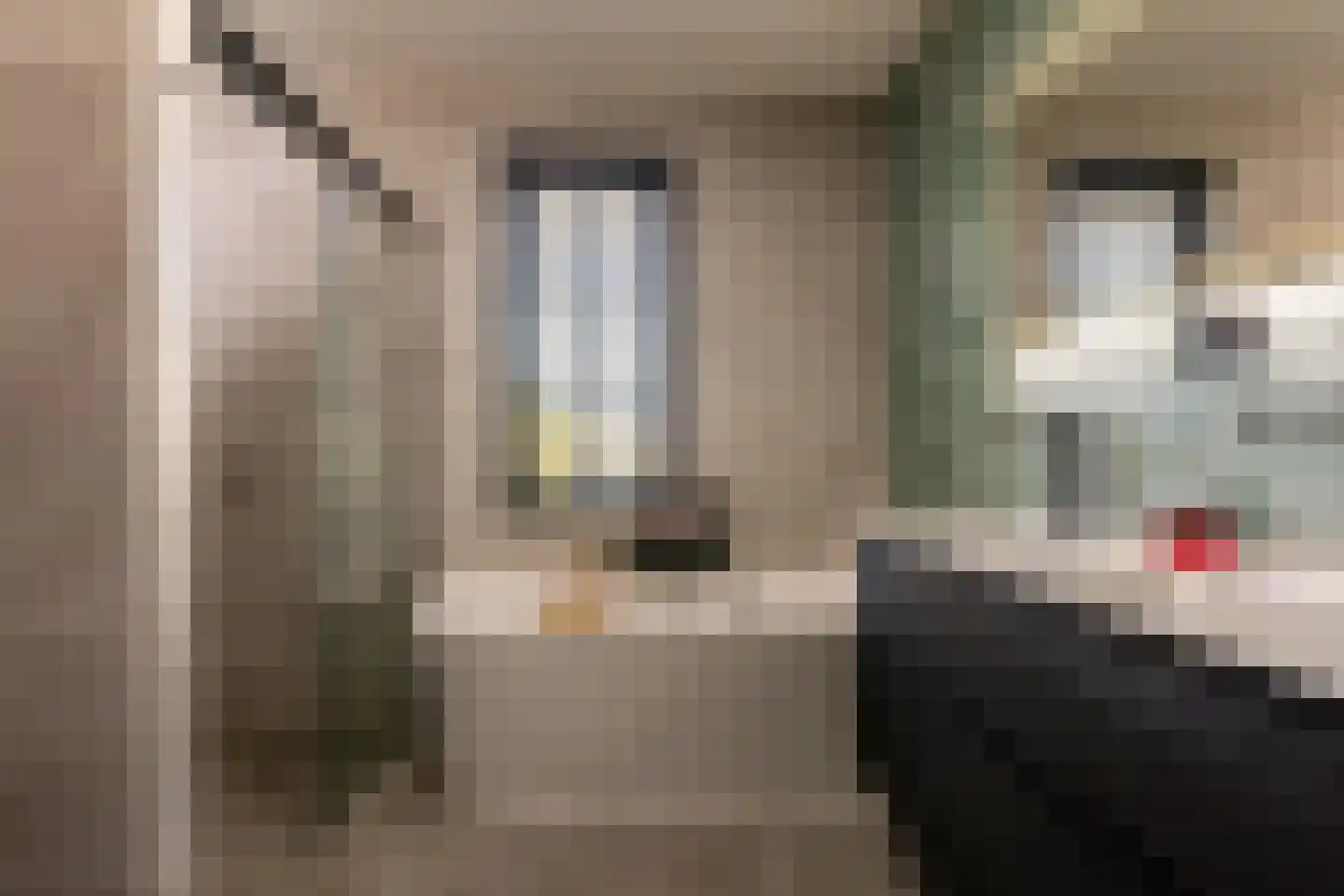 Honingbij 5 Waddinxveen thumbnail 23