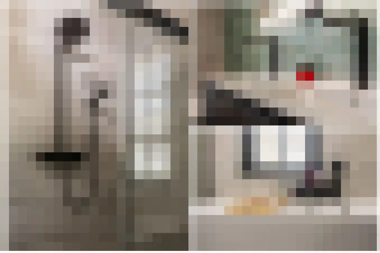 Honingbij 5 Waddinxveen thumbnail 24