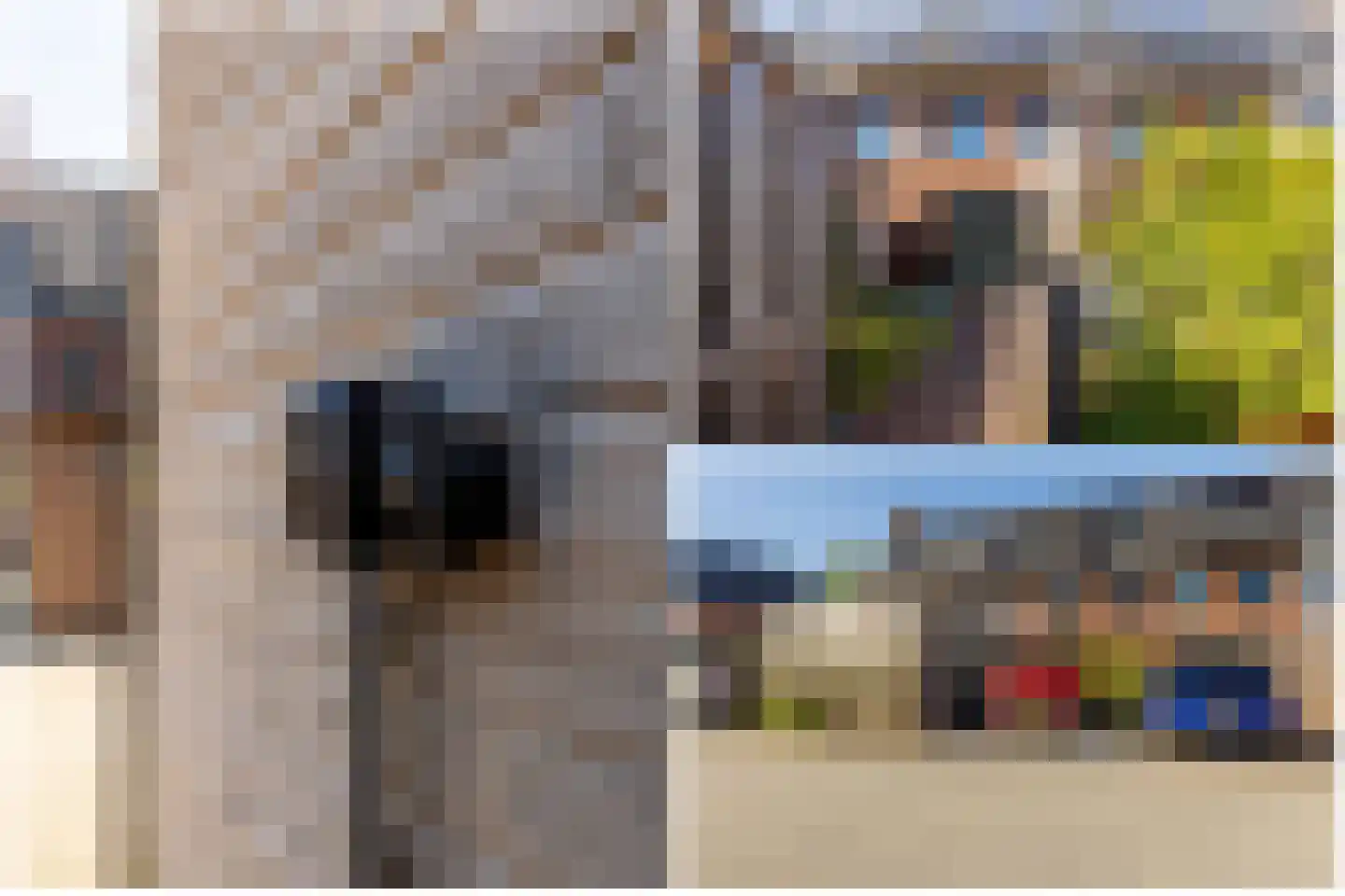 Honingbij 5 Waddinxveen thumbnail 39
