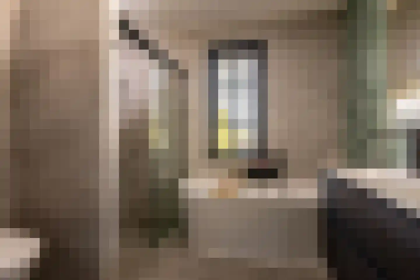 Honingbij 5 Waddinxveen thumbnail 4