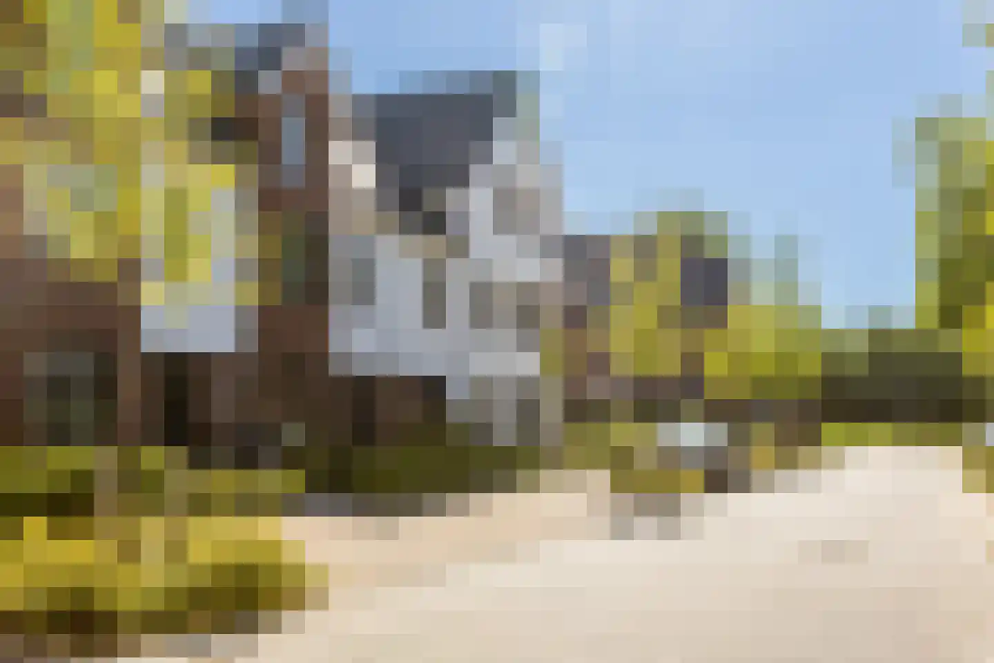 Honingbij 5 Waddinxveen thumbnail 40