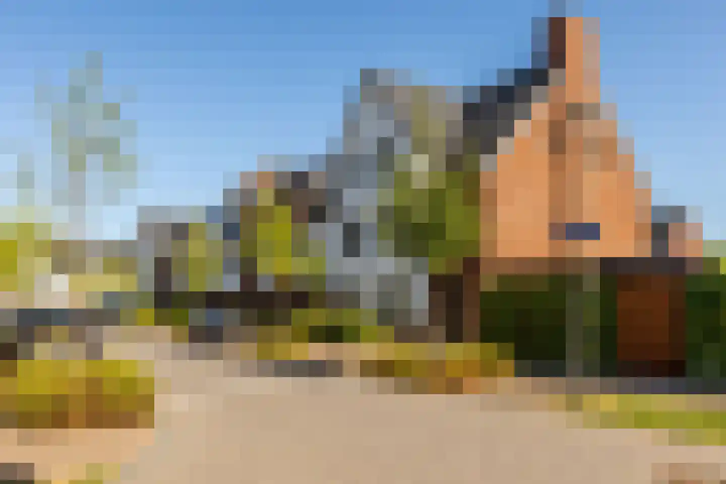 Honingbij 5 Waddinxveen thumbnail 41