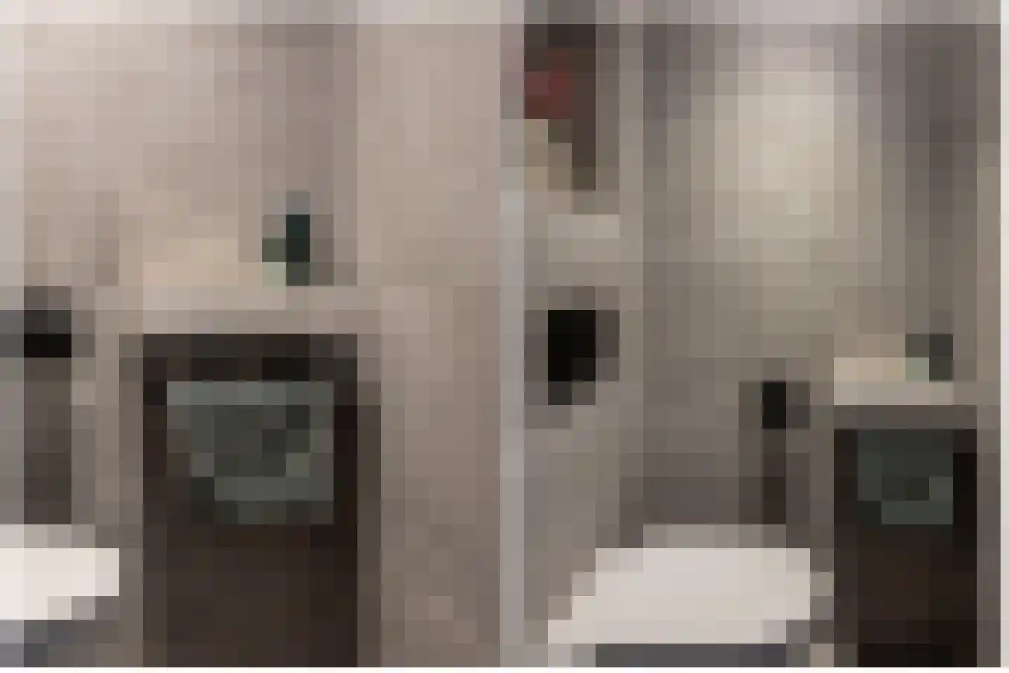 Honingbij 5 Waddinxveen thumbnail 8