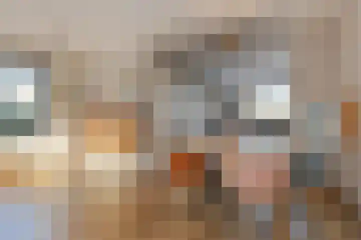 Honingbij 78 Son en Breugel thumbnail 14