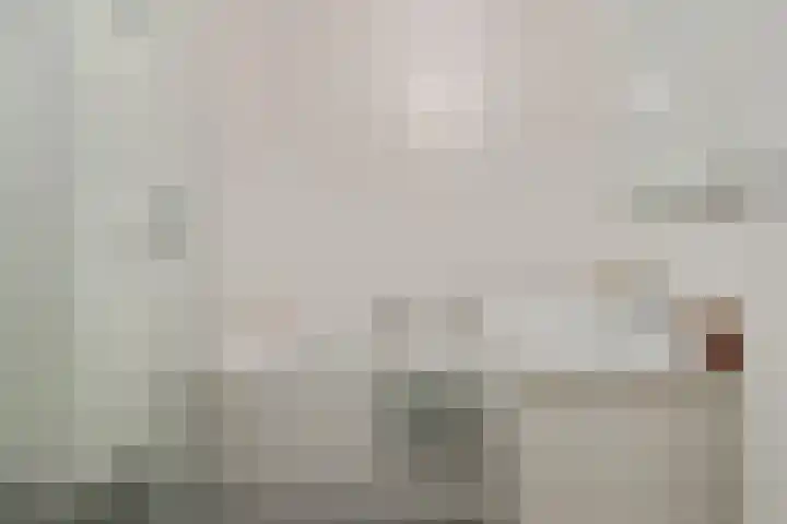 Honingbij 78 Son en Breugel thumbnail 19