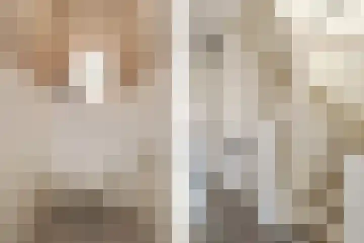 Honingbij 78 Son en Breugel thumbnail 21