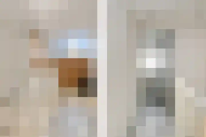 Honingbij 78 Son en Breugel thumbnail 22