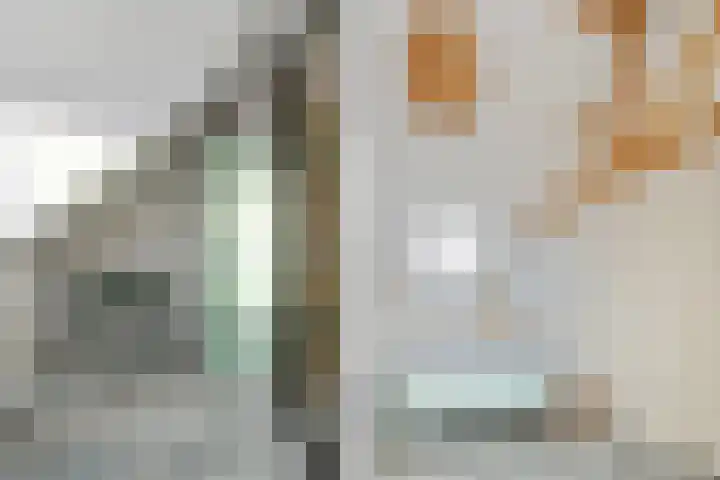 Honingbij 78 Son en Breugel thumbnail 24
