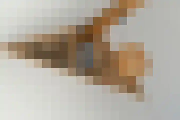 Honingbij 78 Son en Breugel thumbnail 25