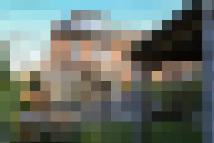 Honingbij 78 Son en Breugel thumbnail 26
