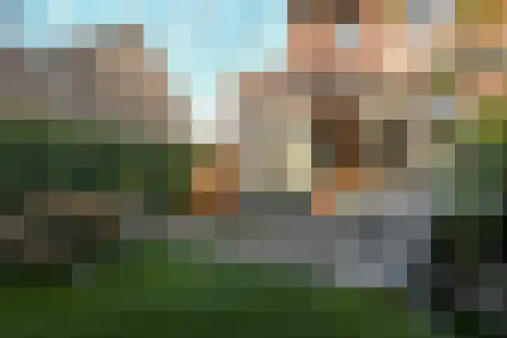 Honingbij 78 Son en Breugel thumbnail 27