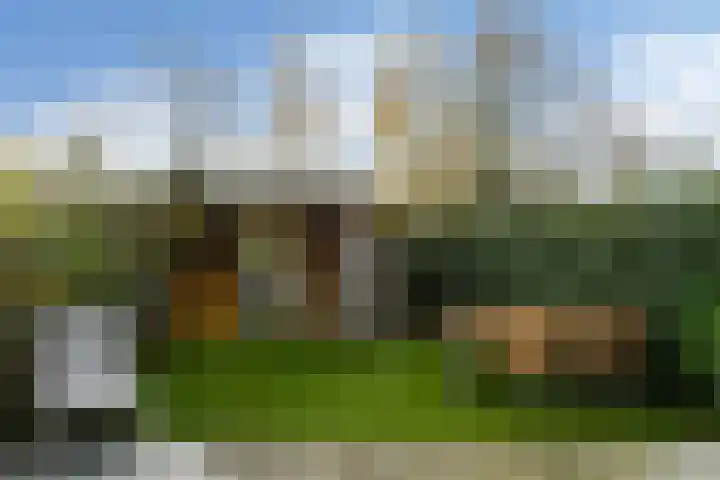 Honingbij 78 Son en Breugel thumbnail 28